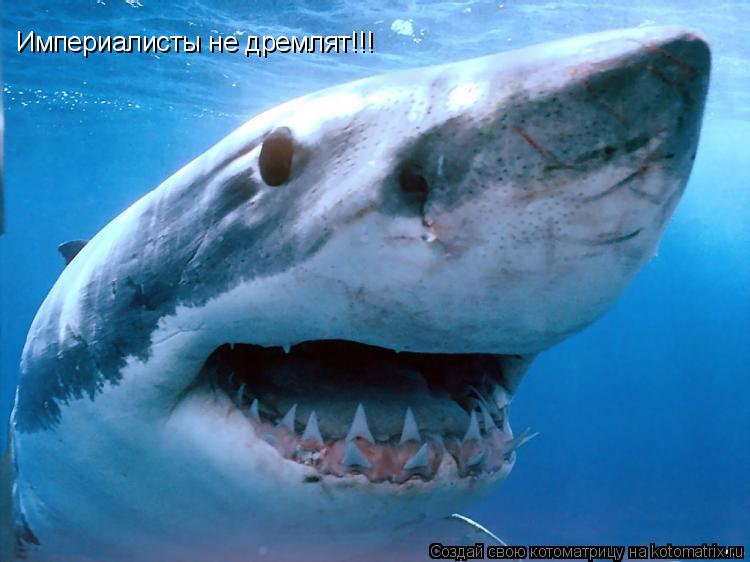Империалисты не дремлят!!!... Котоматрица: Империалисты не дремлят!!!