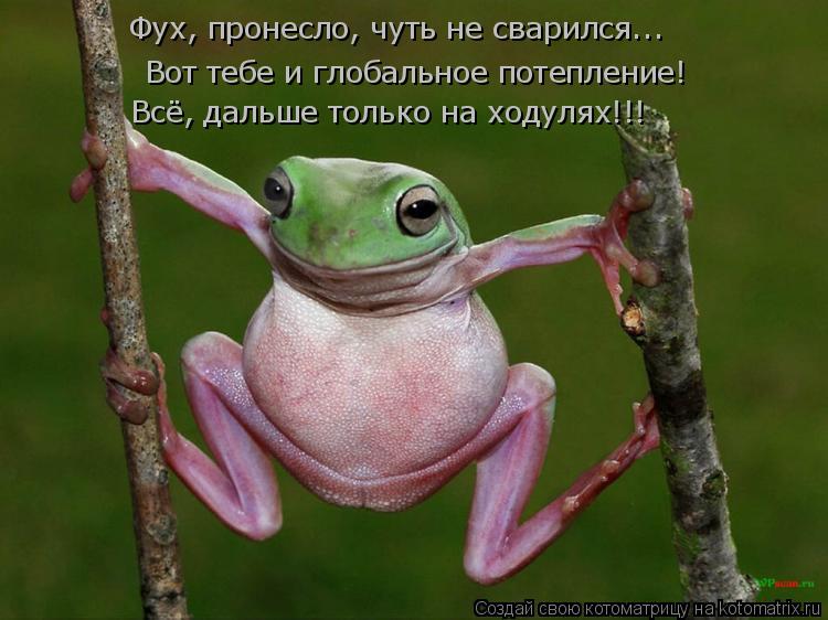 Фух, пронесло, чуть не сварился... Всё, дальше только на ходулях!!! Вот тебе и глобальное потепление!... Котоматрица: Фух, пронесло, чуть не сварился... Всё, дальше только на ходулях!!! Вот тебе и глобальное потепление!