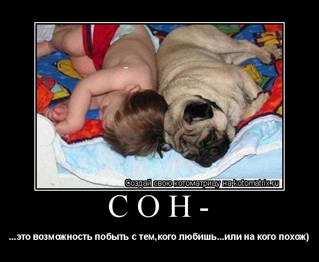 Сон- ...это возможность побыть с тем,кого любишь...или на кого похож)... Котоматрица: Сон- ...это возможность побыть с тем,кого любишь...или на кого похож)