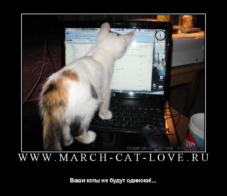 www.march-cat-love.ru Ваши коты не будут одиноки!...... Котоматрица: www.march-cat-love.ru Ваши коты не будут одиноки!...