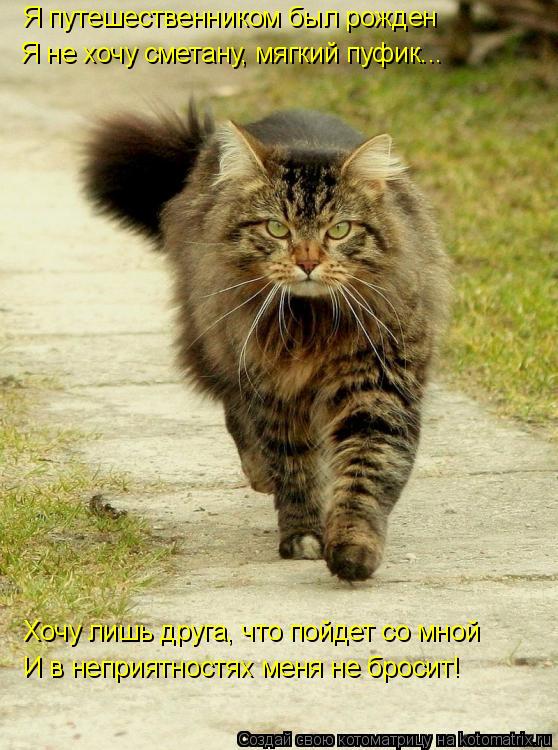 Я путешественником был рожден Я не хочу сметану, мягкий пуфик... Хочу лишь друга, что пойдет со мной ... Котоматрица: Я путешественником был рожден Я не хочу сметану, мягкий пуфик... Хочу лишь друга, что пойдет со мной И в неприятностях меня не бросит!