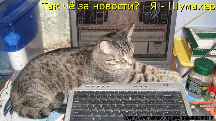 Так чё за новости? Я - Шумахер... Котоматрица: Так чё за новости? Я - Шумахер