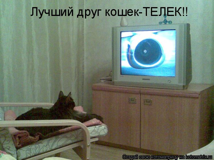 Лучший друг кошек-ТЕЛЕК!!... Котоматрица: Лучший друг кошек-ТЕЛЕК!!