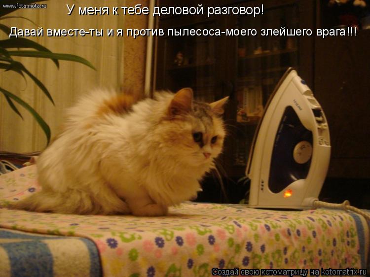 У меня к тебе деловой разговор! У меня к тебе деловой разговор! Давай вместе-ты и я против пылесоса... Котоматрица: У меня к тебе деловой разговор! У меня к тебе деловой разговор! Давай вместе-ты и я против пылесоса-моего злейшего врага!!!
