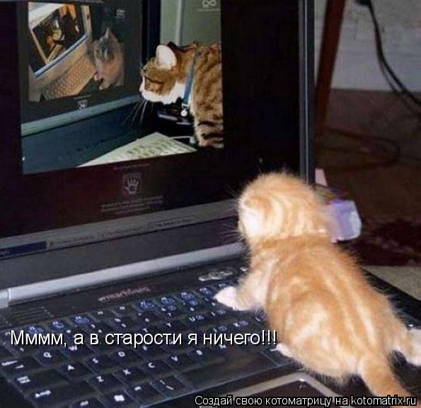 Мммм, а в старости я ничего!!!... Котоматрица: Мммм, а в старости я ничего!!!