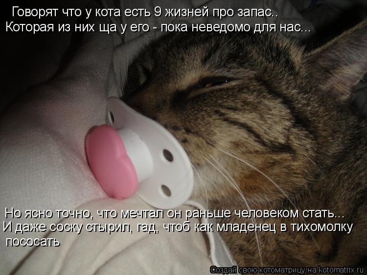 Говорят что у кота есть 9 жизней про запас.. Которая из них ща у его - пока неведомо для нас... Но яс... Котоматрица: Говорят что у кота есть 9 жизней про запас.. Которая из них ща у его - пока неведомо для нас... Но ясно точно, что мечтал он раньше человеком ста