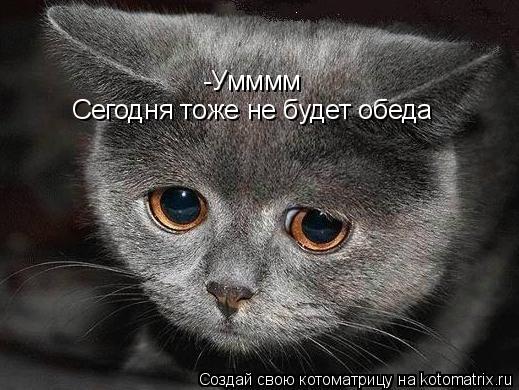 -Умммм Сегодня тоже не будет обеда... Котоматрица: -Умммм Сегодня тоже не будет обеда