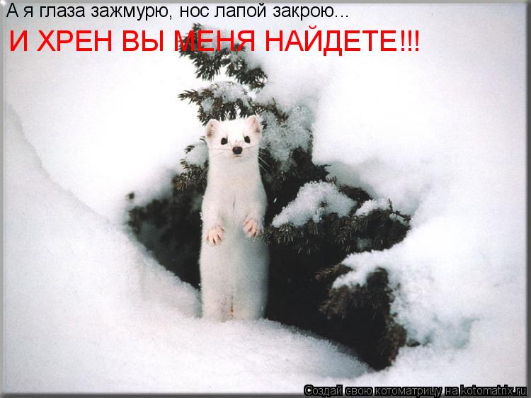 Котоматрица: А я глаза зажмурю, нос лапой закрою... И ХРЕН ВЫ МЕНЯ НАЙДЕТЕ!!!