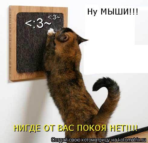 <:3~ <:3~ Ну МЫШИ!!! НИГДЕ ОТ ВАС ПОКОЯ НЕТ!!!!... Котоматрица: <:3~ <:3~ Ну МЫШИ!!! НИГДЕ ОТ ВАС ПОКОЯ НЕТ!!!!