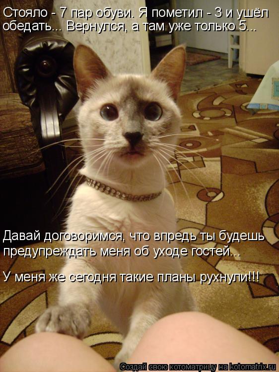 Стояло - 7 пар обуви. Я пометил - 3 и ушёл обедать... Вернулся, а там уже только 5... Давай договорим... Котоматрица: Стояло - 7 пар обуви. Я пометил - 3 и ушёл обедать... Вернулся, а там уже только 5... Давай договоримся, что впредь ты будешь предупреждать меня об