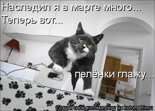 Наследил я в марте много... Теперь вот... пелёнки глажу...... Котоматрица: Наследил я в марте много... Теперь вот... пелёнки глажу...