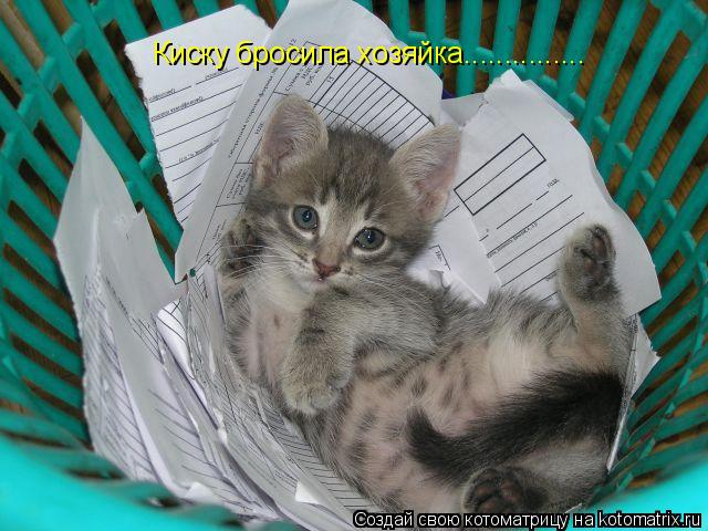 Киску бросила хозяйка.................. Котоматрица: Киску бросила хозяйка...............