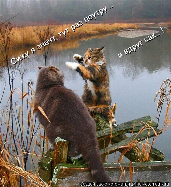 Сижу я значт, тут раз поутру... и вдруг как...!... Котоматрица: Сижу я значт, тут раз поутру... и вдруг как...!