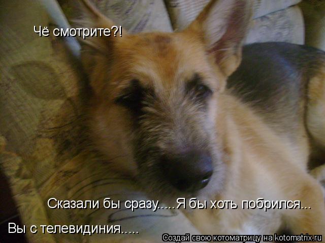 Чё смотрите?! Вы с телевидиния..... Сказали бы сразу.....Я бы хоть побрился...... Котоматрица: Чё смотрите?! Вы с телевидиния..... Сказали бы сразу.....Я бы хоть побрился...