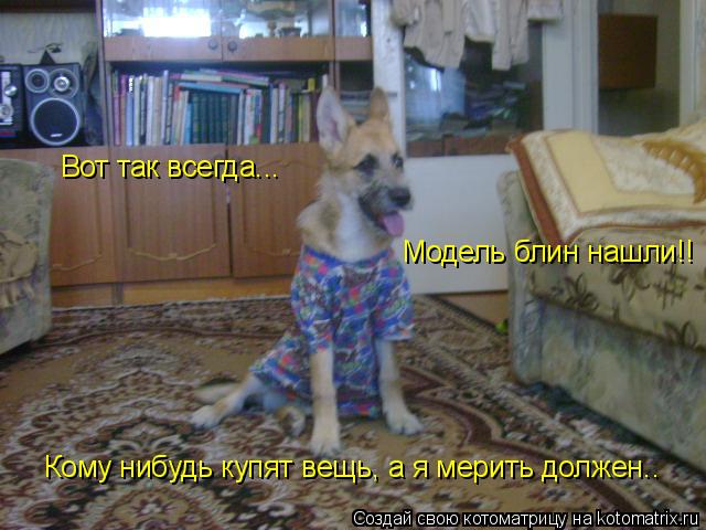 Кому нибудь купят вещь, а я мерить должен.. Модель блин нашли!! Вот так всегда...... Котоматрица: Кому нибудь купят вещь, а я мерить должен.. Модель блин нашли!! Вот так всегда...