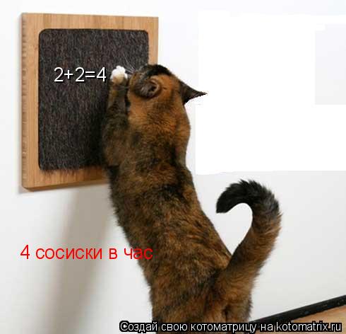 2+2=4 4 сосиски в час... Котоматрица: 2+2=4 4 сосиски в час