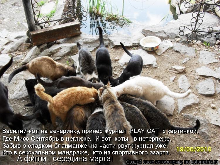 Василий-кот, на вечеринку, принёс журнал «PLAY CAT» с картинкой, Где Мисс Сентябрь в неглиже… И вот ... Котоматрица: Василий-кот, на вечеринку, принёс журнал «PLAY CAT» с картинкой, Где Мисс Сентябрь в неглиже… И вот коты, в нетерпеже, Забыв о сладком бланманж