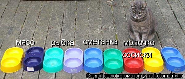 мясо рыбка сметанка молочко сосиски... Котоматрица: мясо рыбка сметанка молочко сосиски
