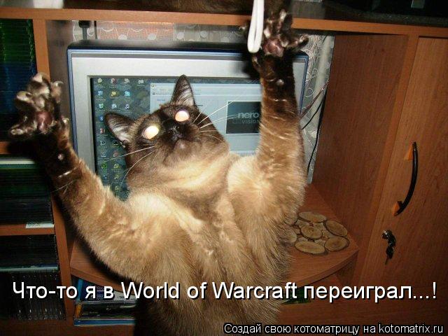 Что-то я в World of Warcraft переиграл...!... Котоматрица: Что-то я в World of Warcraft переиграл...!