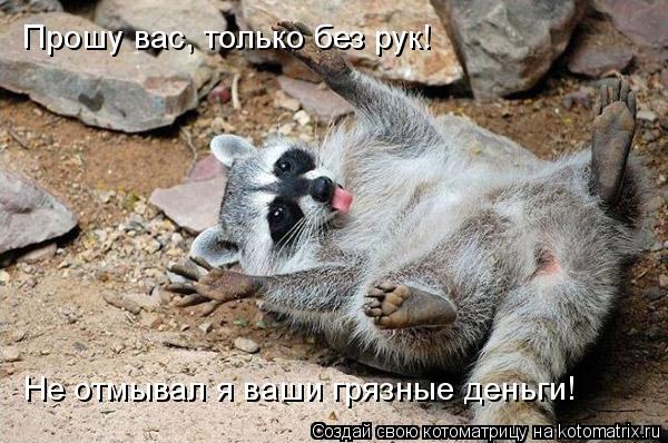 Прошу вас, только без рук! Не отмывал я ваши грязные деньги!... Котоматрица: Прошу вас, только без рук! Не отмывал я ваши грязные деньги!