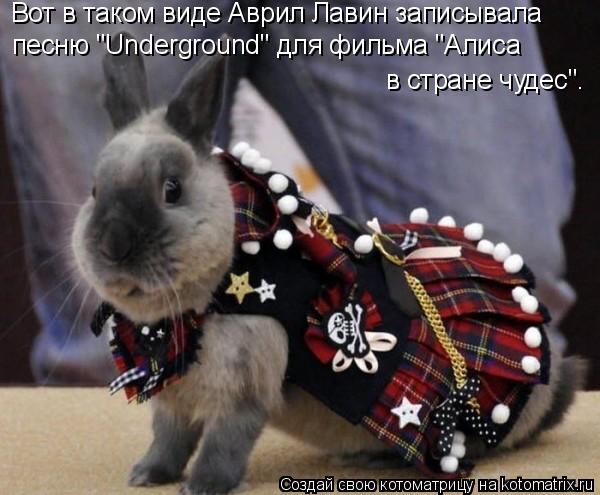 Вот в таком виде Аврил Лавин записывала песню "Underground" для фильма "Алиса в стране чудес".... Котоматрица: Вот в таком виде Аврил Лавин записывала песню "Underground" для фильма "Алиса в стране чудес".