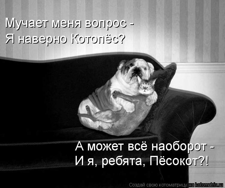 Мучает меня вопрос - Я наверно Котопёс? А может всё наоборот - И я, ребята, Пёсокот?!... Котоматрица: Мучает меня вопрос - Я наверно Котопёс? А может всё наоборот - И я, ребята, Пёсокот?!