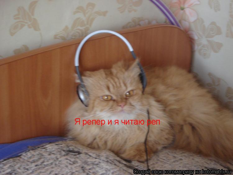 Я репер и я читаю реп... Котоматрица: Я репер и я читаю реп