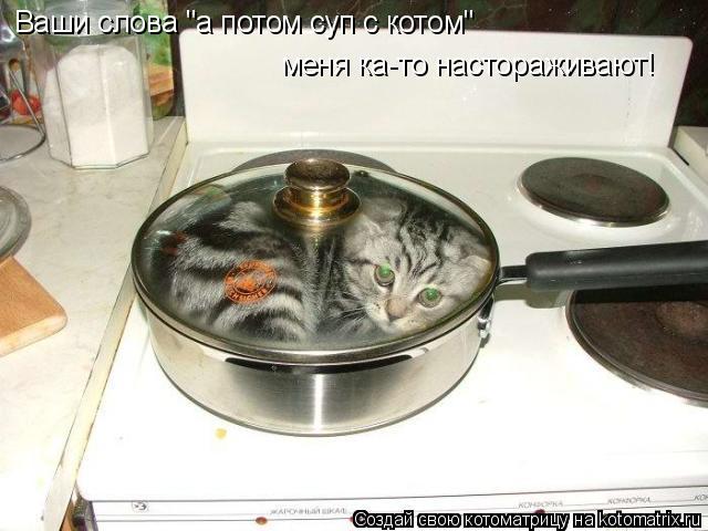 Ваши слова "а потом суп с котом" меня ка-то настораживают!... Котоматрица: Ваши слова "а потом суп с котом" меня ка-то настораживают!
