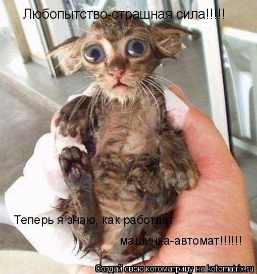Любопытство-страшная сила!!!!! Теперь я знаю, как работает машинка-автомат!!!!!!... Котоматрица: Любопытство-страшная сила!!!!! Теперь я знаю, как работает машинка-автомат!!!!!!