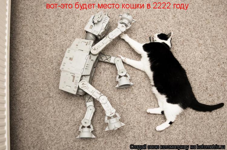 вот-это будет место кошки в 2222 году... Котоматрица: вот-это будет место кошки в 2222 году