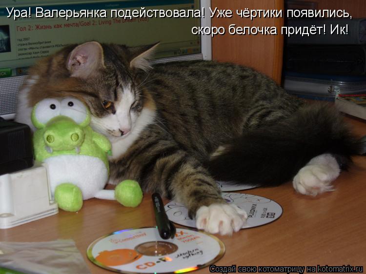 Ура! Валерьянка подействовала! Уже чёртики появились, скоро белочка придёт! Ик!... Котоматрица: Ура! Валерьянка подействовала! Уже чёртики появились, скоро белочка придёт! Ик!