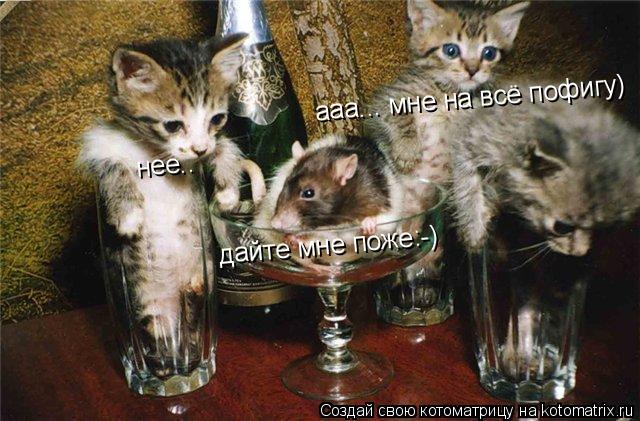 дайте мне поже:-) нее.. ааа... мне на всё пофигу)... Котоматрица: дайте мне поже:-) нее.. ааа... мне на всё пофигу)