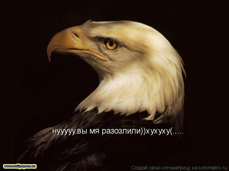 нууууу.вы мя разозлили))хухуху(........ Котоматрица: нууууу.вы мя разозлили))хухуху(.....