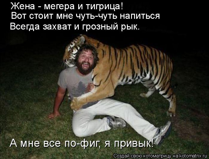 Жена - мегера и тигрица! Вот стоит мне чуть-чуть напиться Всегда захват и грозный рык. А мне все по-ф... Котоматрица: Жена - мегера и тигрица! Вот стоит мне чуть-чуть напиться Всегда захват и грозный рык. А мне все по-фиг, я привык!