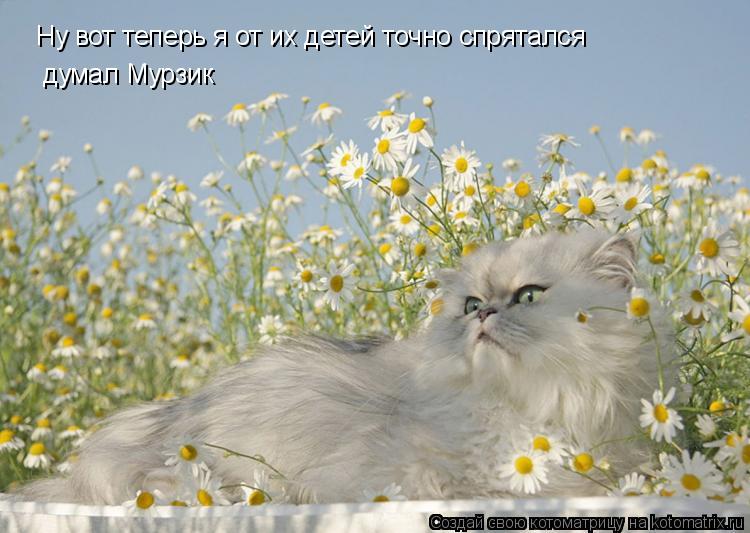 Ну вот теперь я от их детей точно спрятался думал Мурзик... Котоматрица: Ну вот теперь я от их детей точно спрятался думал Мурзик