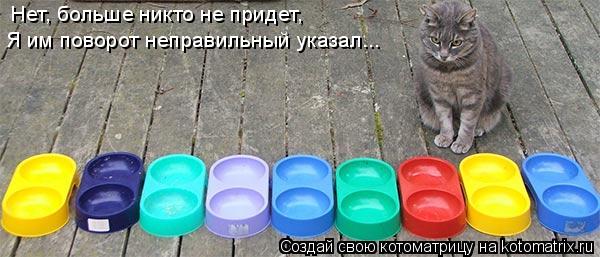 Нет, больше никто не придет, Я им поворот неправильный указал...... Котоматрица: Нет, больше никто не придет, Я им поворот неправильный указал...