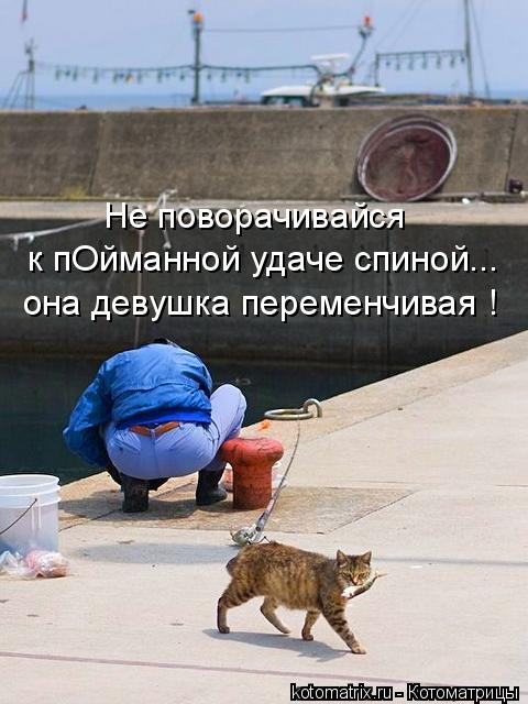 Котоматрица: к пОйманной удаче спиной... она девушка переменчивая ! Не поворачивайся