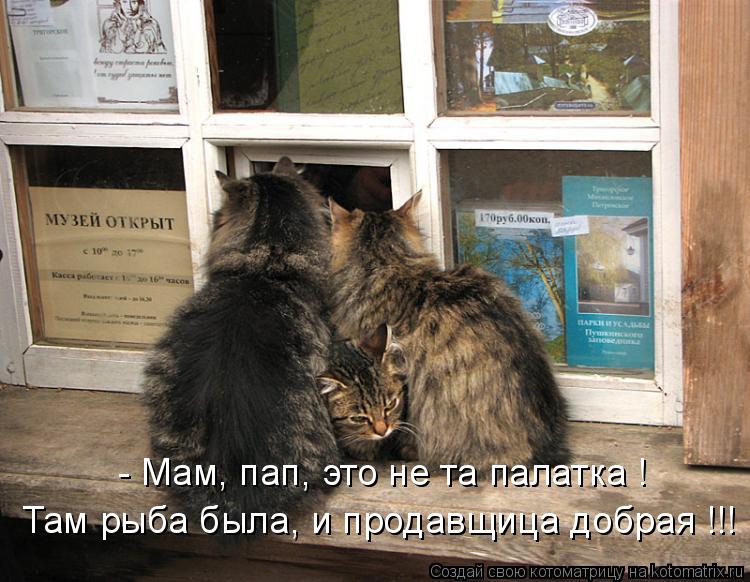 - Мам, пап, это не та палатка ! Там рыба была, и продавщица добрая !!!... Котоматрица: - Мам, пап, это не та палатка ! Там рыба была, и продавщица добрая !!!