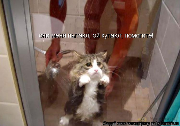 они меня пытают, ой купают, помогите!... Котоматрица: они меня пытают, ой купают, помогите!
