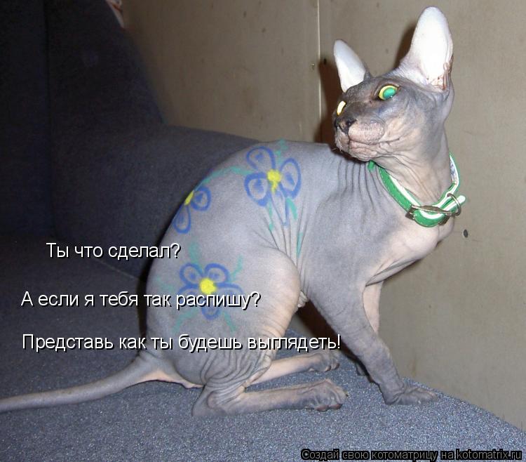 Ты что сделал? А если я тебя так распишу? Представь как ты будешь выглядеть!... Котоматрица: Ты что сделал? А если я тебя так распишу? Представь как ты будешь выглядеть!