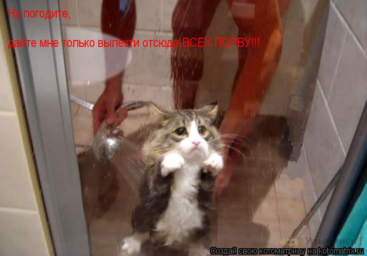 Ну погодите, дайте мне только вылезти отсюда-ВСЕХ ПОРВУ!!!... Котоматрица: Ну погодите, дайте мне только вылезти отсюда-ВСЕХ ПОРВУ!!!