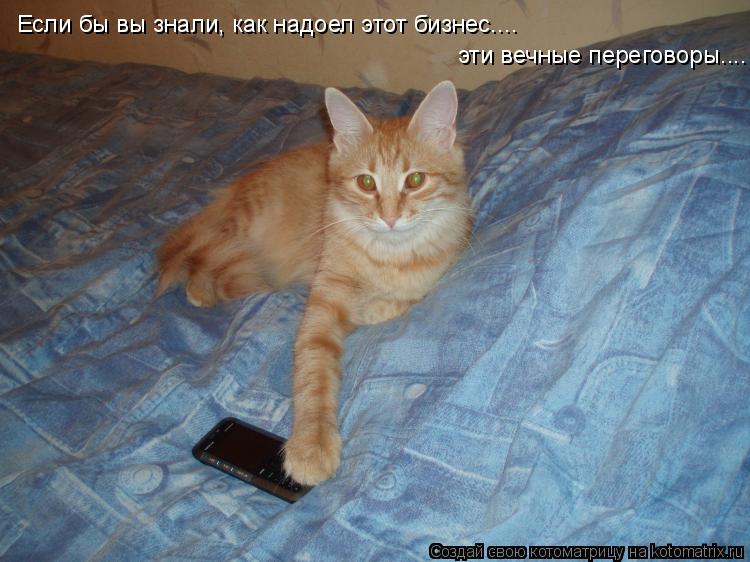 Если бы вы знали, как надоел этот бизнес, эти вечные переговоры... Если бы вы знали, как надоел этот ... Котоматрица: Если бы вы знали, как надоел этот бизнес, эти вечные переговоры... Если бы вы знали, как надоел этот бизнес.... эти вечные переговоры....