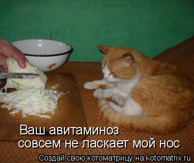 Ваш авитаминоз Ваш авитаминоз совсем не ласкает мой нос совсем не ласкает мой нос... Котоматрица: Ваш авитаминоз Ваш авитаминоз совсем не ласкает мой нос совсем не ласкает мой нос