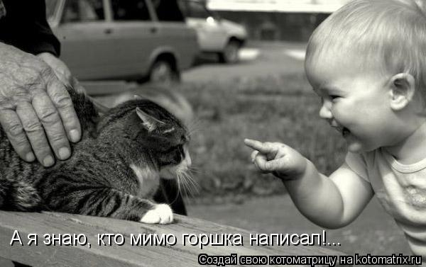 Котоматрица: А я знаю, кто мимо горшка написал!...