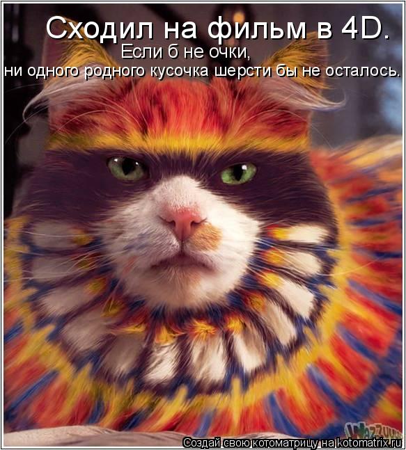 Сходил на фильм в 4D. ни одного родного кусочка шерсти бы не осталось. Если б не очки,... Котоматрица: Сходил на фильм в 4D. ни одного родного кусочка шерсти бы не осталось. Если б не очки,