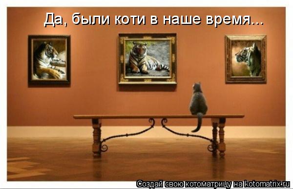 Да, были коти в наше время...... Котоматрица: Да, были коти в наше время...