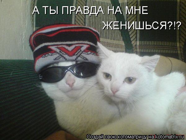 Котоматрица: А ТЫ ПРАВДА НА МНЕ ЖЕНИШЬСЯ?!?