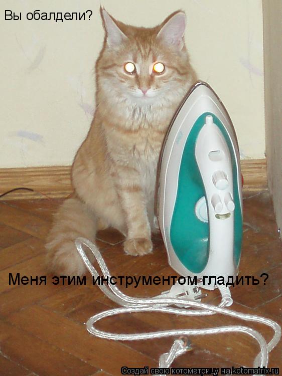 Котоматрица: Вы обалдели? Меня этим инструментом гладить?