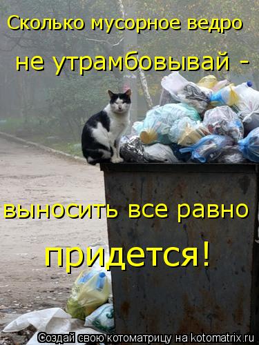 Сколько мусорное ведро не утрамбовывай - выносить все равно придется!... Котоматрица: Сколько мусорное ведро не утрамбовывай - выносить все равно придется!