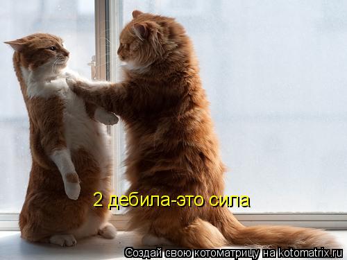 2 дебила-это сила... Котоматрица: 2 дебила-это сила